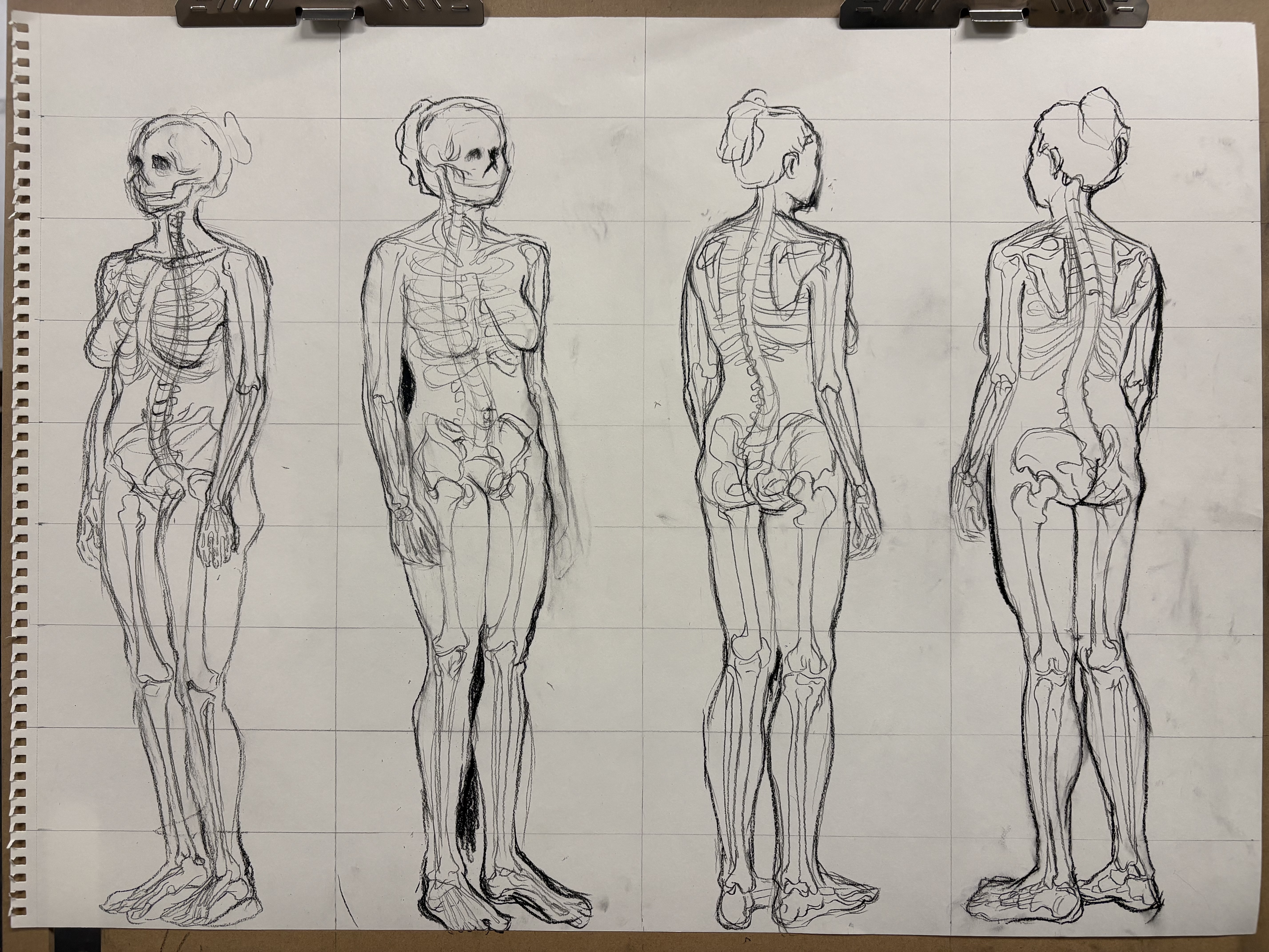 46 x 61 cm